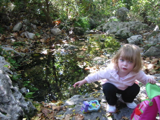 IMG_0608.JPG