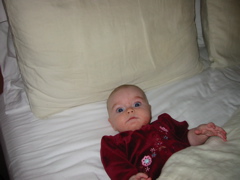 IMG_0003.JPG