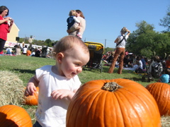 IMG_0064.JPG